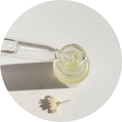 Bacillus Ferment