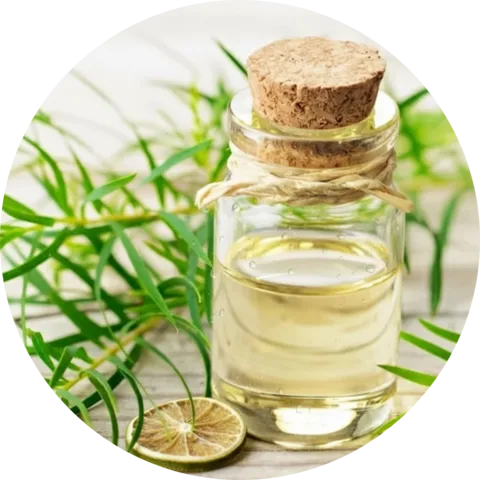 Tea Tree Oil