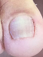 Review image 2
